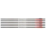 umarex carbon fiber air archer 0 1752849378 - EASTCOASTTPAINTBALL